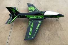 Predator (7)